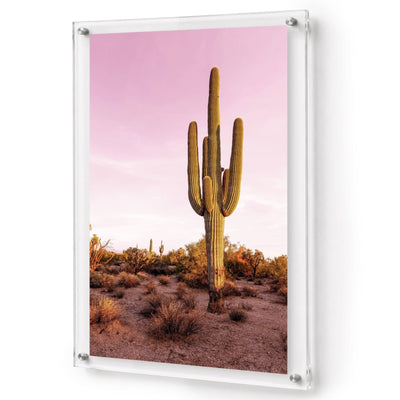 Pink Desert Club Acrylic Wall Art Print