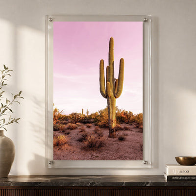 Pink Desert Club Acrylic Wall Art Print