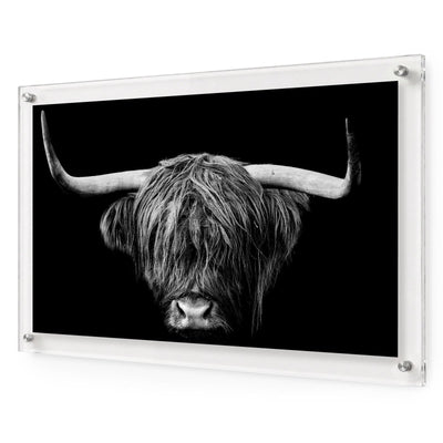 The Highlander Black & White Acrylic Wall Art Print