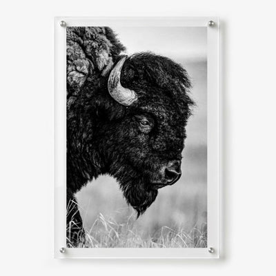 The Lookout Black & White Acrylic Wall Art Print