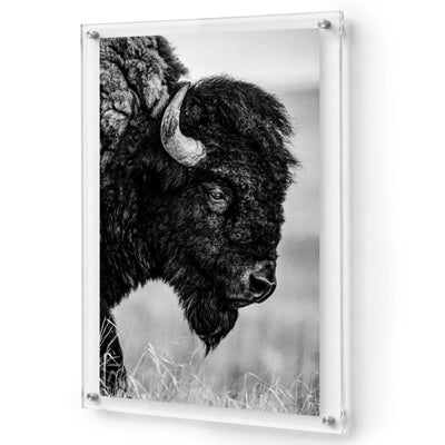 The Lookout Black & White Acrylic Wall Art Print