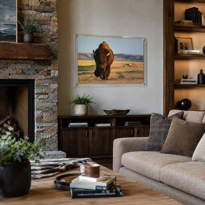 Wild Plains Acrylic Wall Art Print