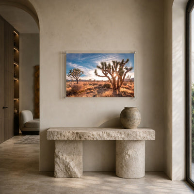 Desert Revival Acrylic Wall Art Print