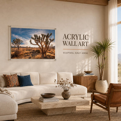 Desert Revival Acrylic Wall Art Print