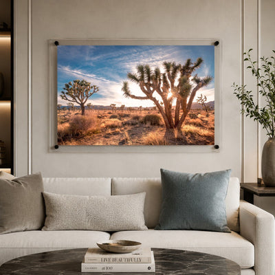 Desert Revival Acrylic Wall Art Print