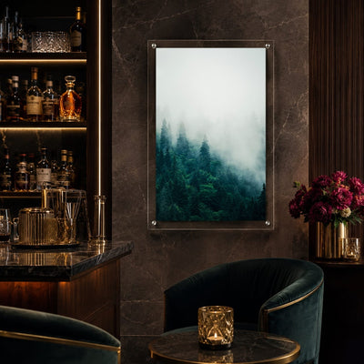 Forest on Mute Acrylic Wall Art Print
