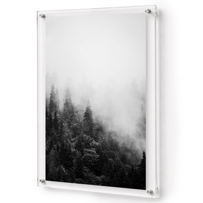 Forest on Mute Black & White Acrylic Wall Art Print