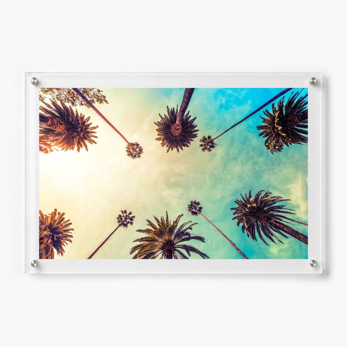 Golden Hour Palms Acrylic Wall Art Print