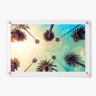Golden Hour Palms Acrylic Wall Art Print