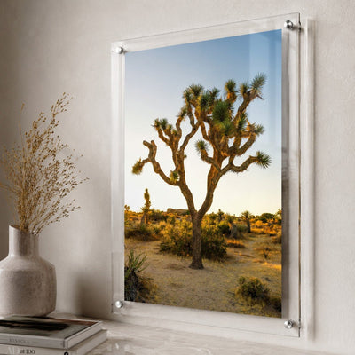 Joshua Glow Acrylic Wall Art Print