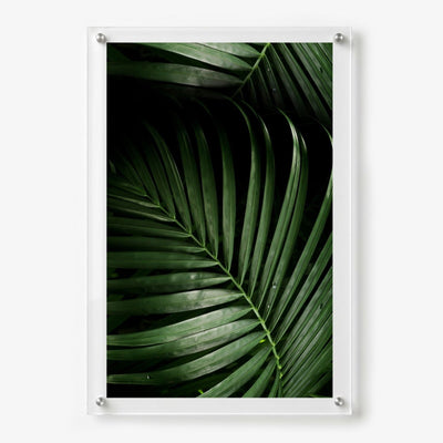Midnight Palm Acrylic Wall Art Print