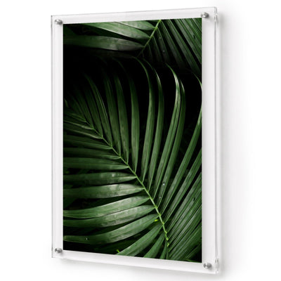 Midnight Palm Acrylic Wall Art Print