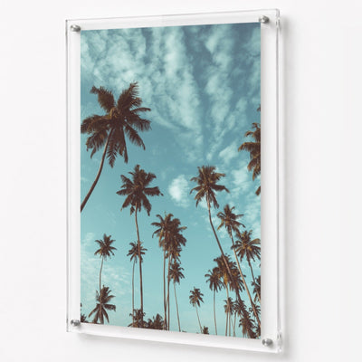 Palm Parade Acrylic Wall Art Print