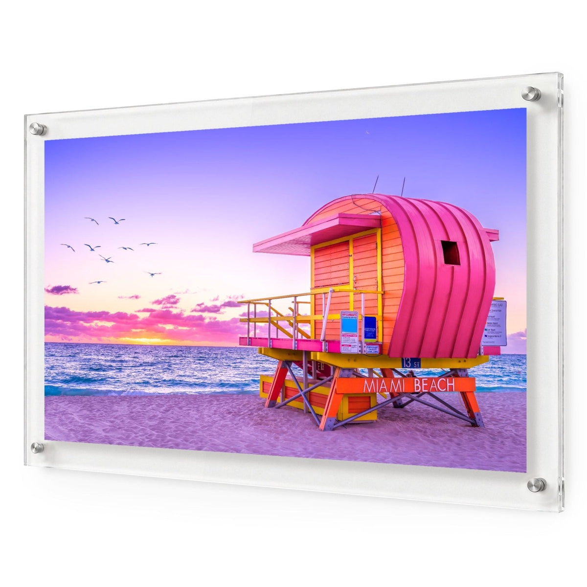 Pink Patrol Acrylic Wall Art Print