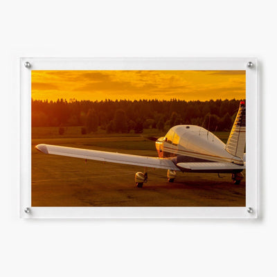 Piper, Cleared for Sunset Acrylic Wall Art Print