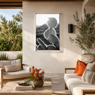 Prickly Business Acrylic Wall Art Print