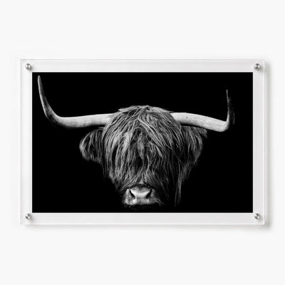 The Highlander Black & White Acrylic Wall Art Print