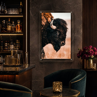 The Lookout Acrylic Wall Art Print