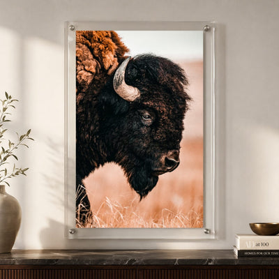 The Lookout Acrylic Wall Art Print