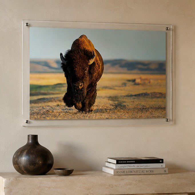 Wild Plains Acrylic Wall Art Print